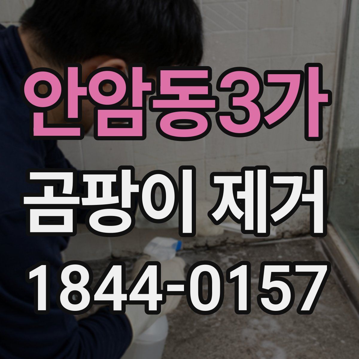 안암동3가 곰팡이 제거