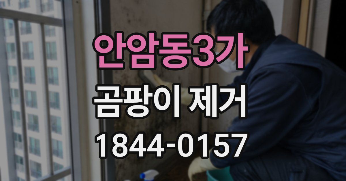안암동3가 곰팡이 제거