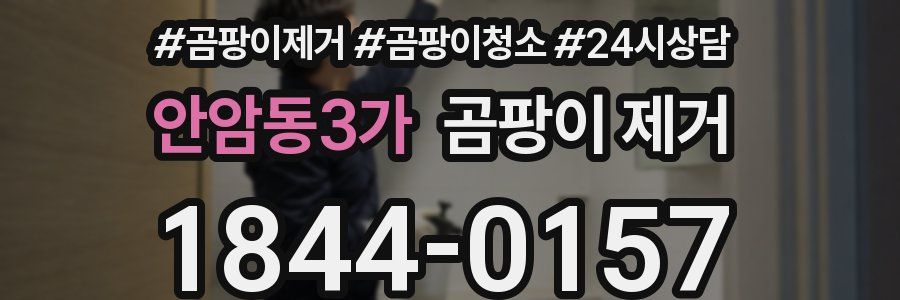 안암동3가 곰팡이 제거