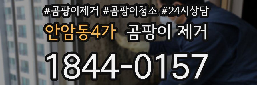 안암동4가 곰팡이 제거