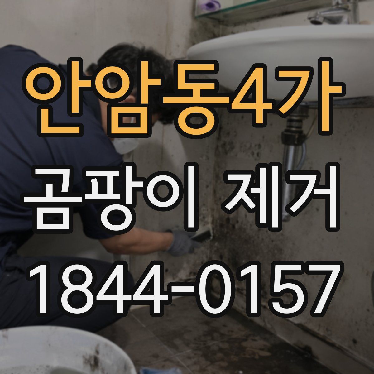 안암동4가 곰팡이 제거
