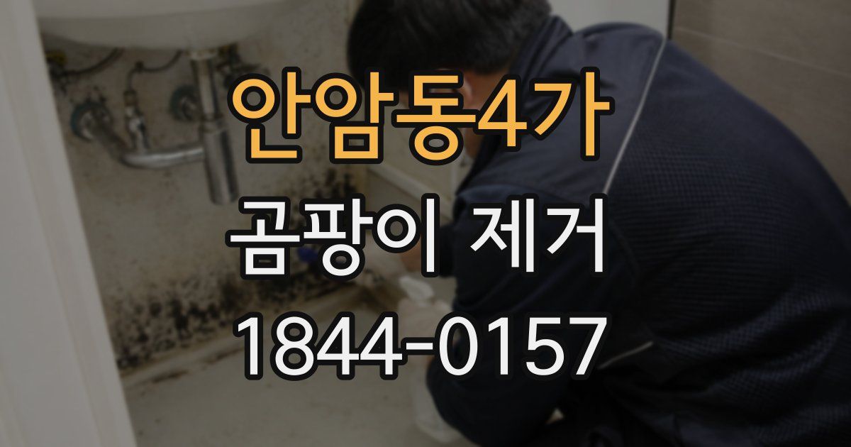 안암동4가 곰팡이 제거