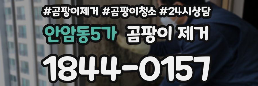 안암동5가 곰팡이 제거