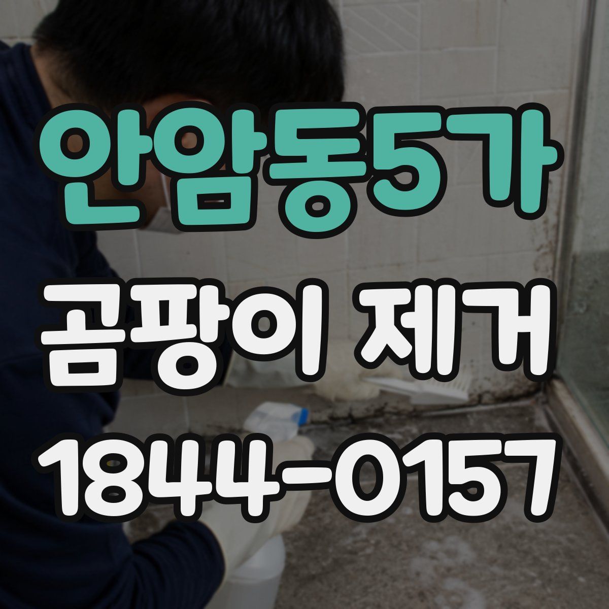 안암동5가 곰팡이 제거