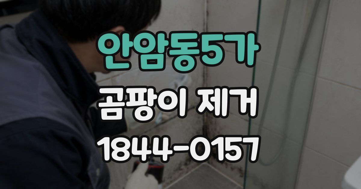 안암동5가 곰팡이 제거