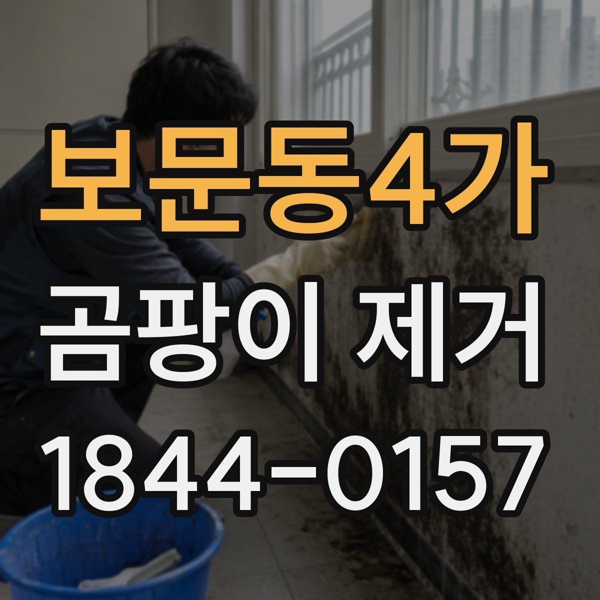 보문동4가 곰팡이 제거 벽면 손상 줄이며 진행하는 순서