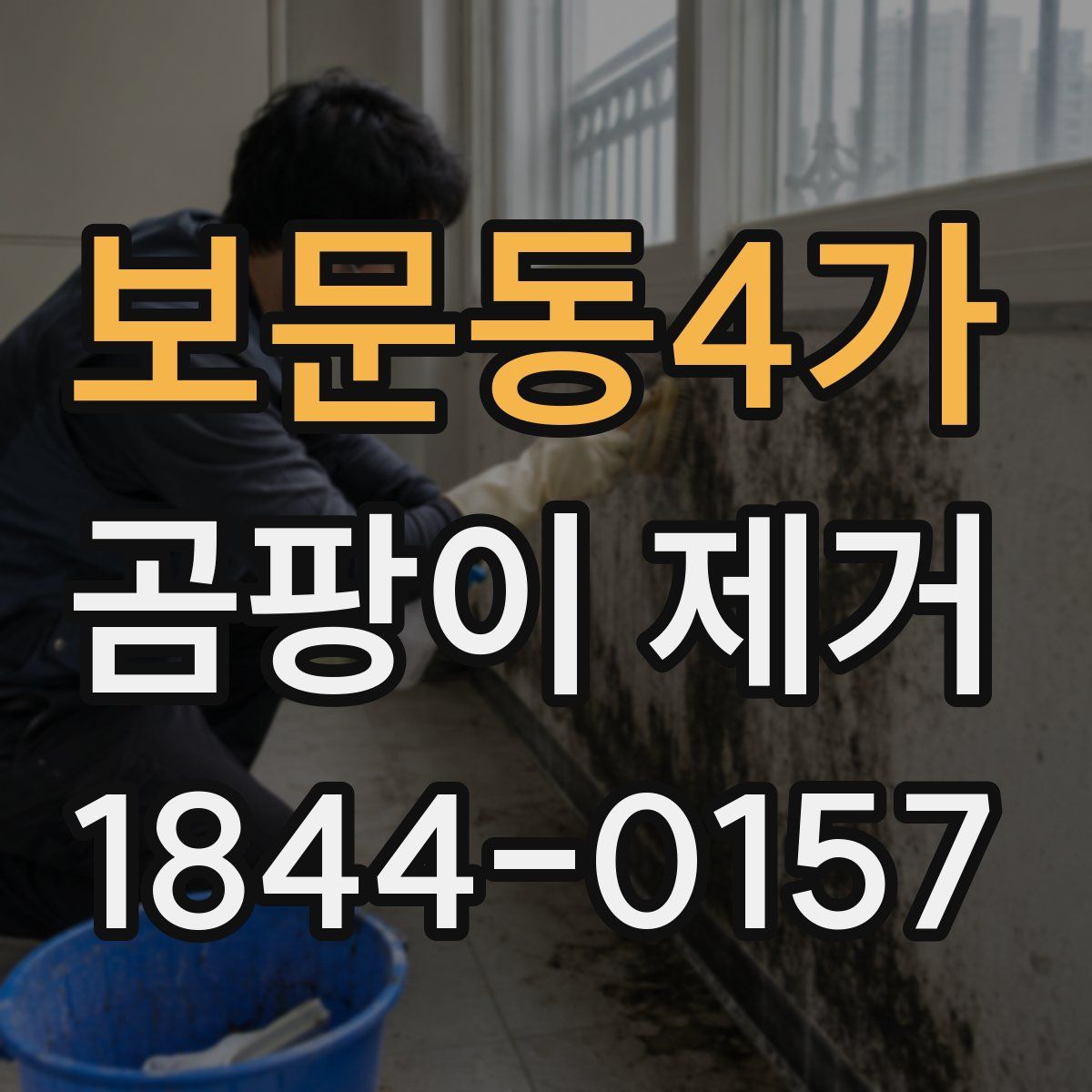 보문동4가 곰팡이 제거