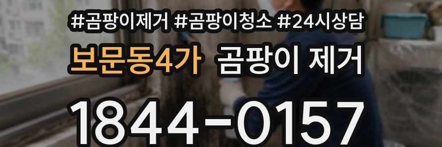 보문동4가 곰팡이 제거