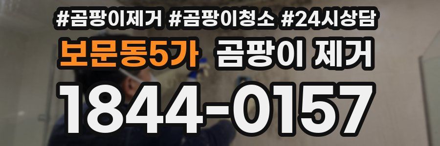 보문동5가 곰팡이 제거