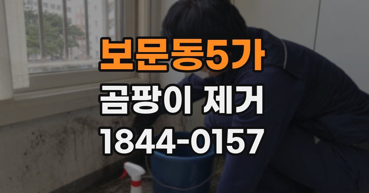 보문동5가 곰팡이 제거