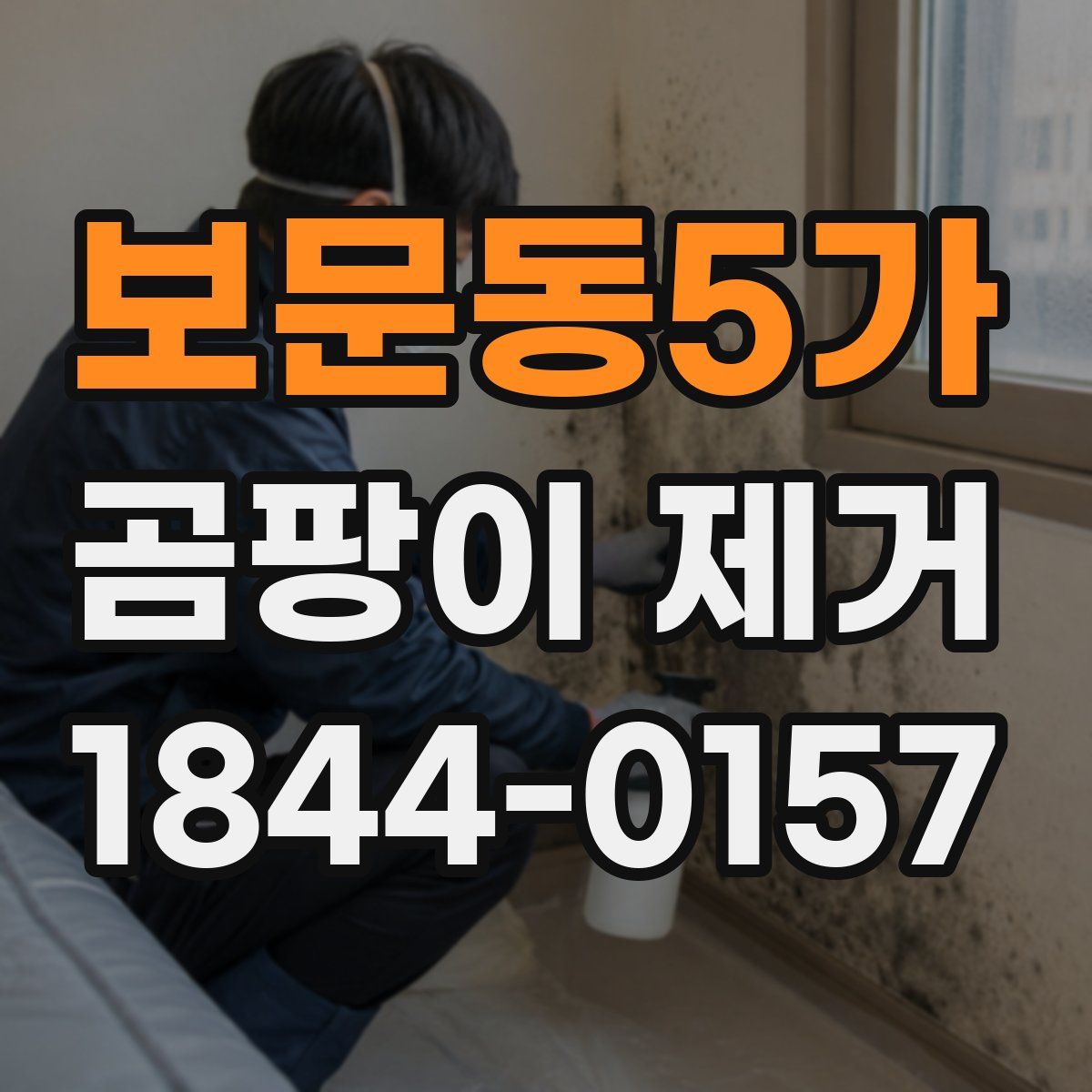 보문동5가 곰팡이 제거