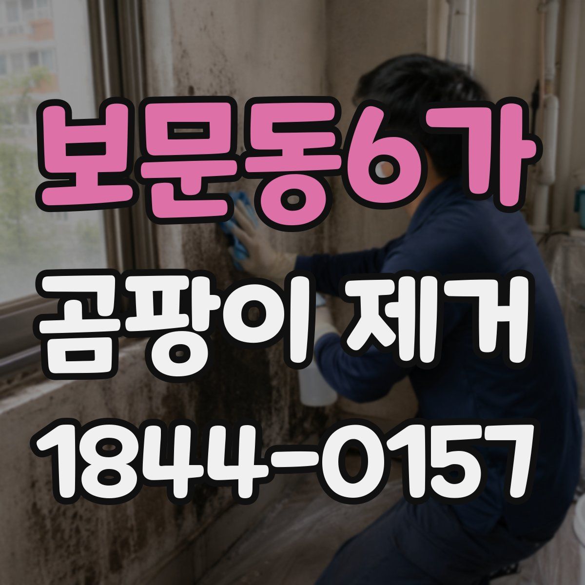 보문동6가 곰팡이 제거