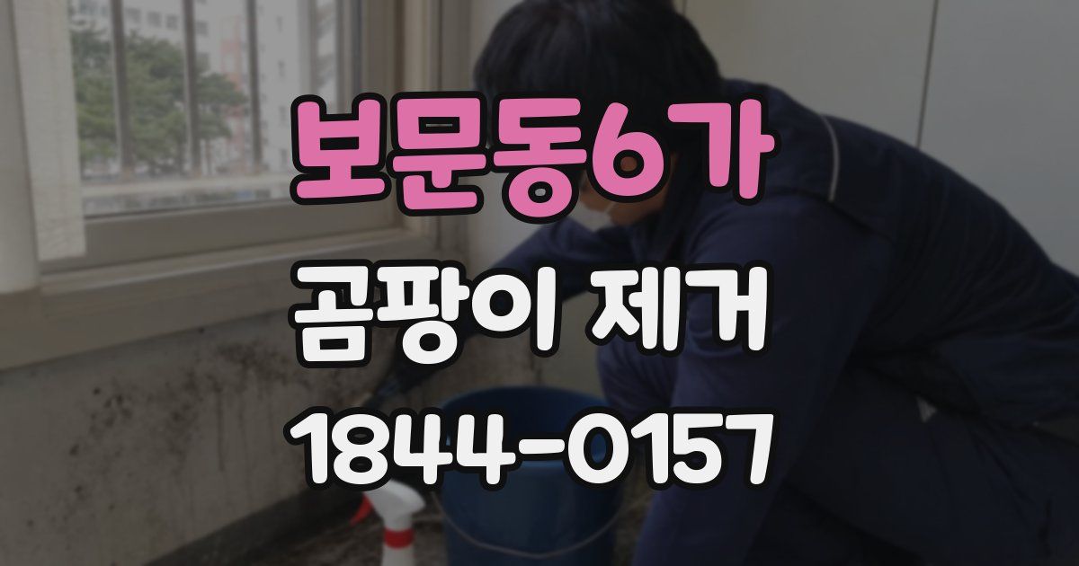 보문동6가 곰팡이 제거
