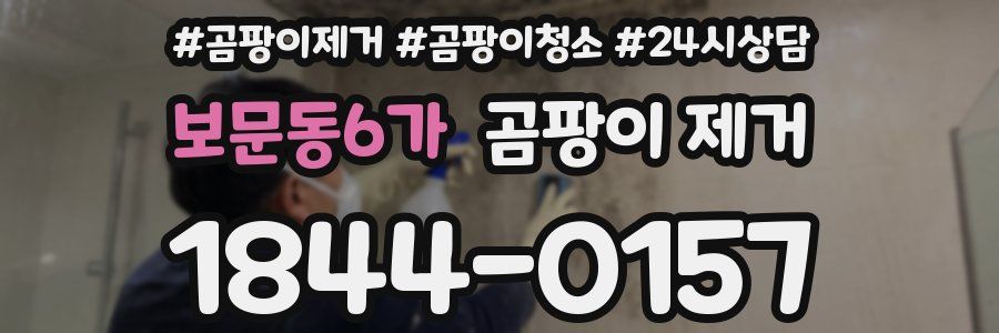 보문동6가 곰팡이 제거