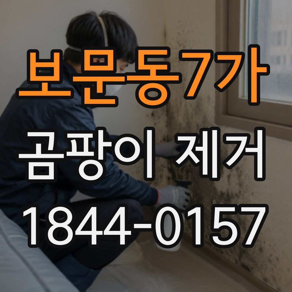 보문동7가 곰팡이 제거