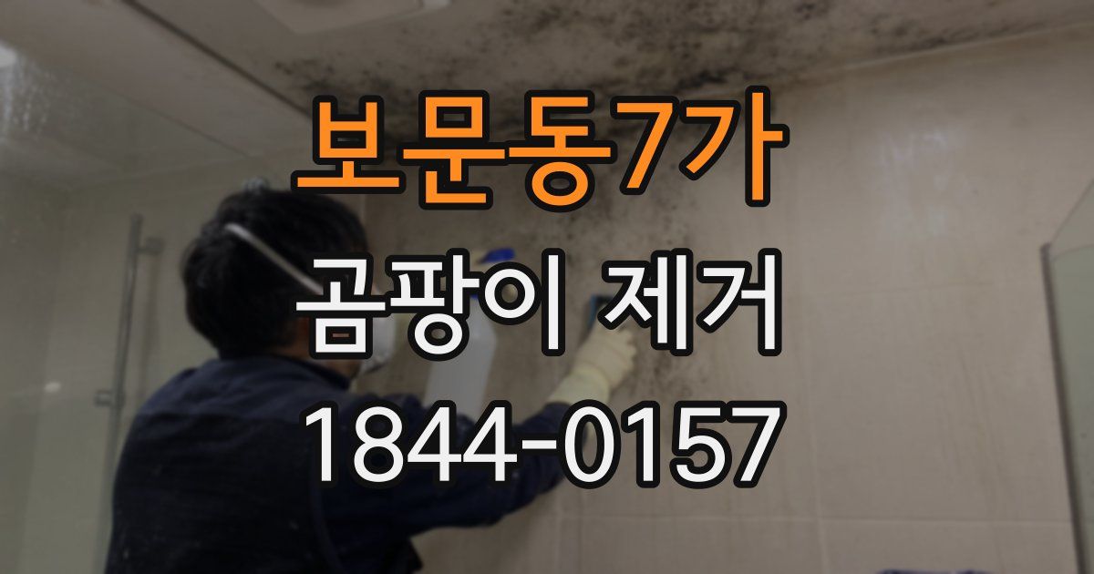 보문동7가 곰팡이 제거