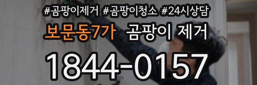 보문동7가 곰팡이 제거