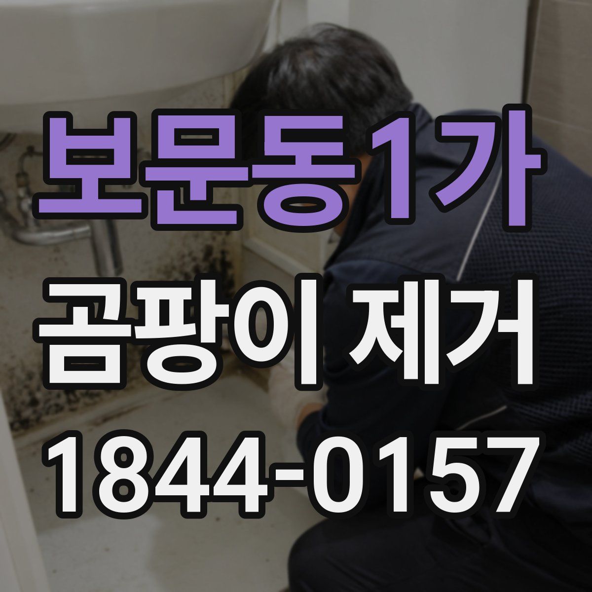 보문동1가 곰팡이 제거