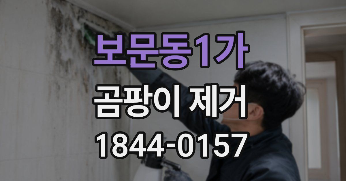 보문동1가 곰팡이 제거