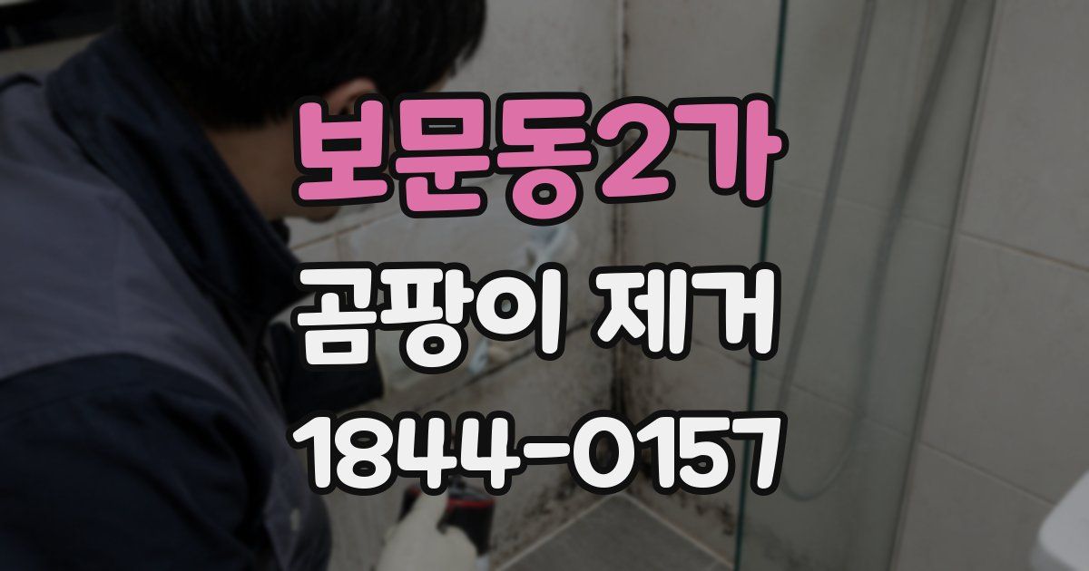 보문동2가 곰팡이 제거
