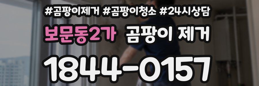 보문동2가 곰팡이 제거