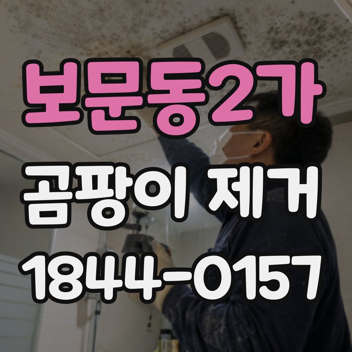 보문동2가 곰팡이 제거