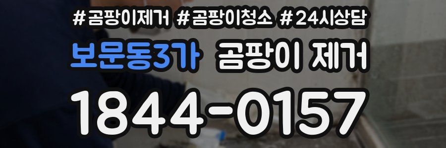 보문동3가 곰팡이 제거