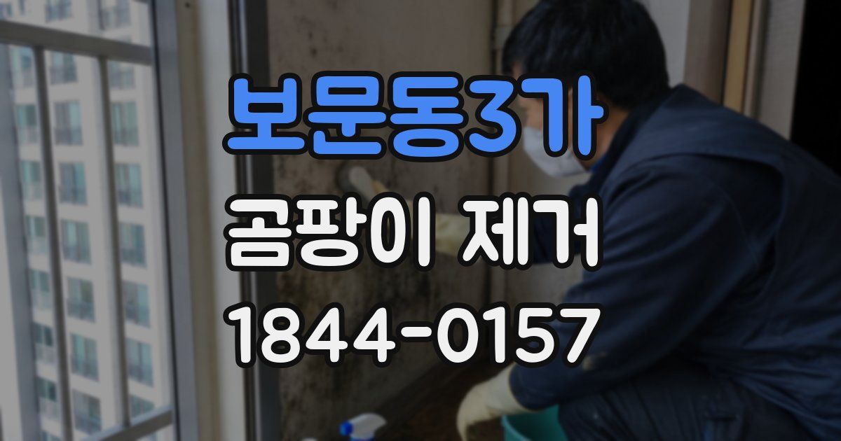 보문동3가 곰팡이 제거
