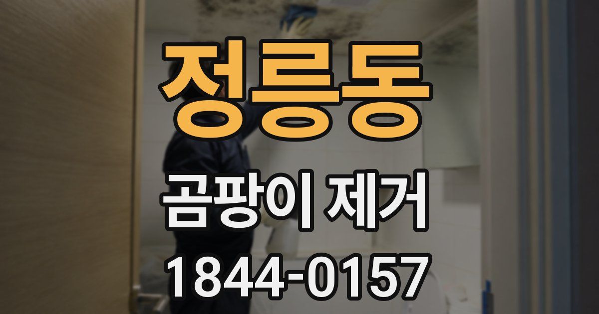 정릉동 곰팡이 제거