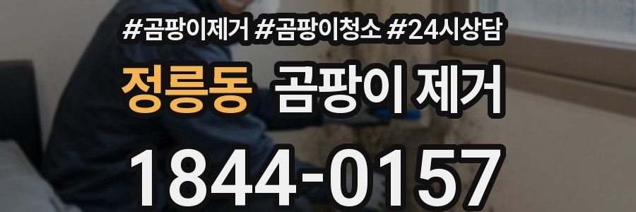 정릉동 곰팡이 제거