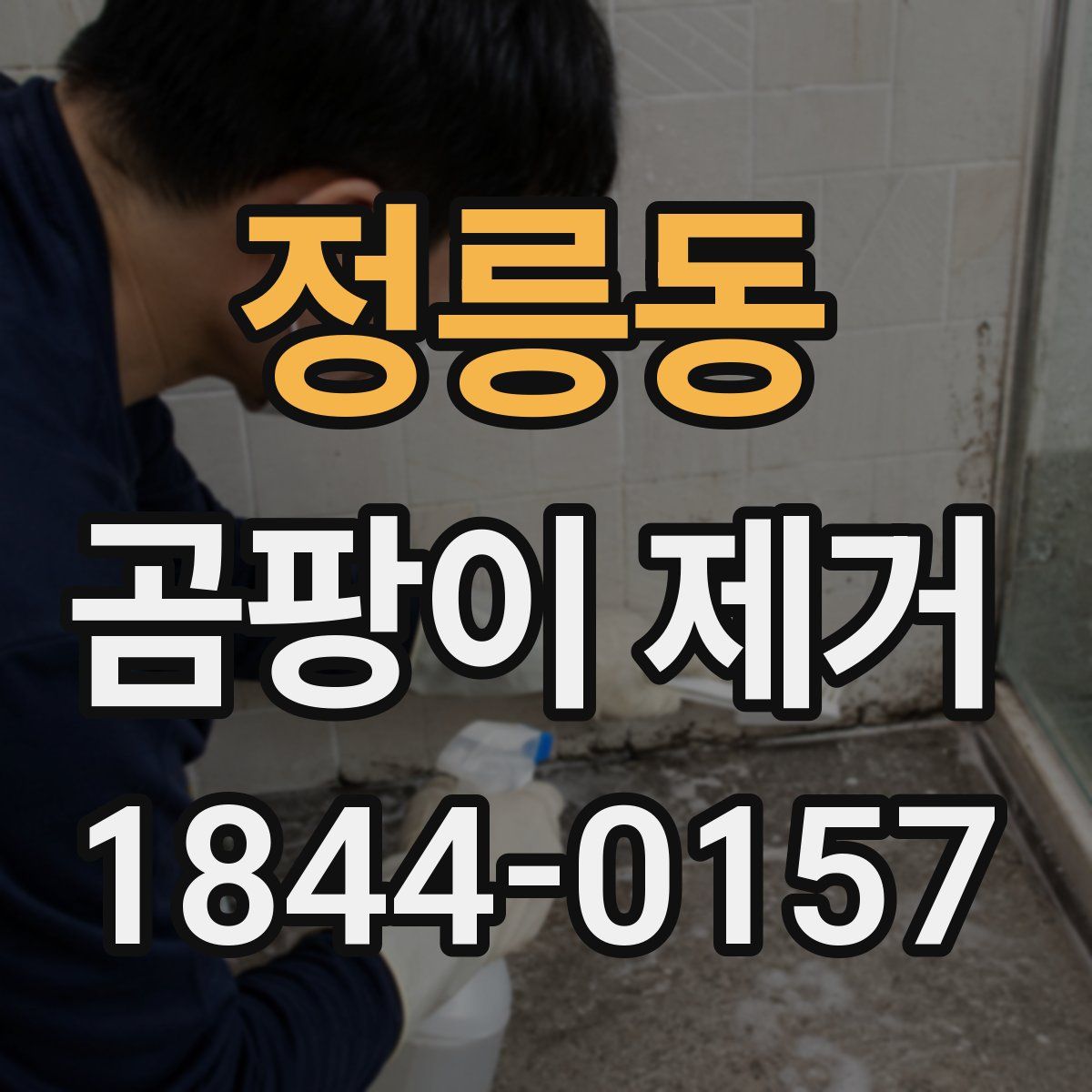 정릉동 곰팡이 제거