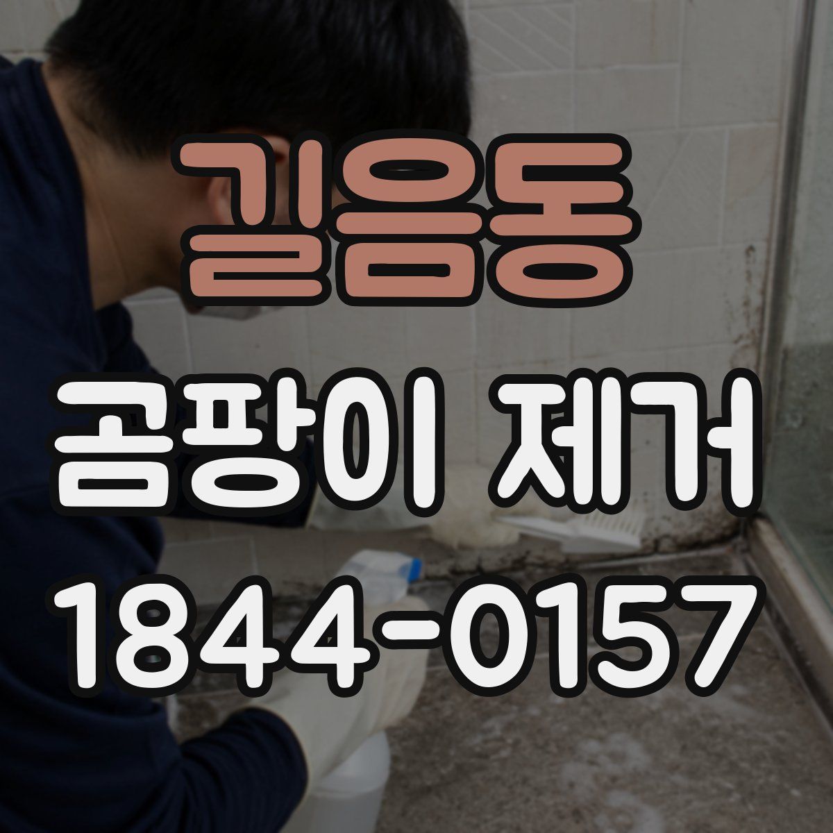길음동 곰팡이 제거