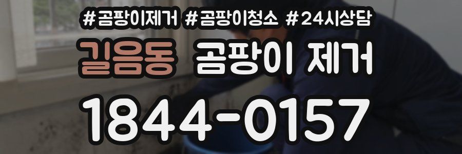 길음동 곰팡이 제거