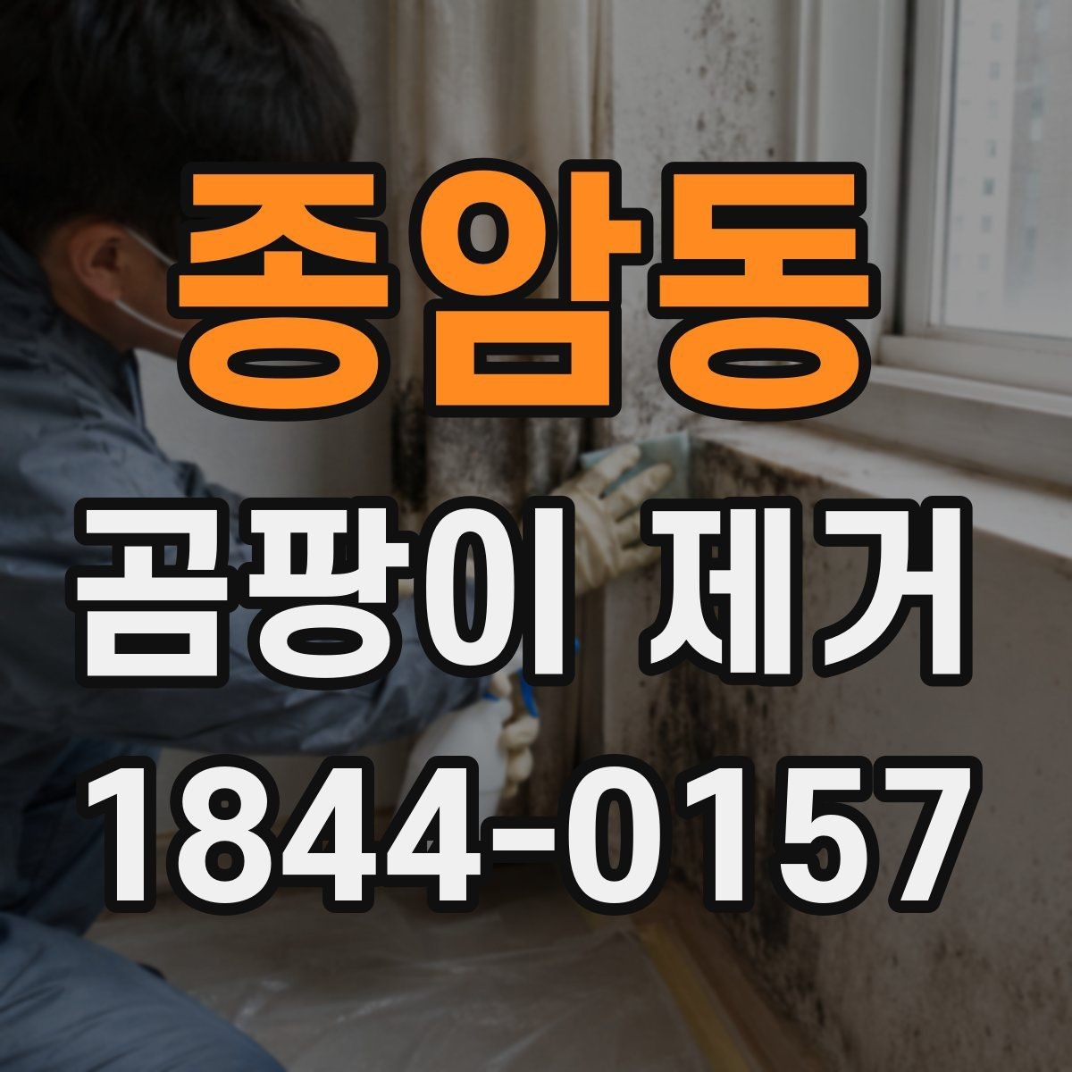 종암동 곰팡이 제거 베란다 주변 습기 원인 정리