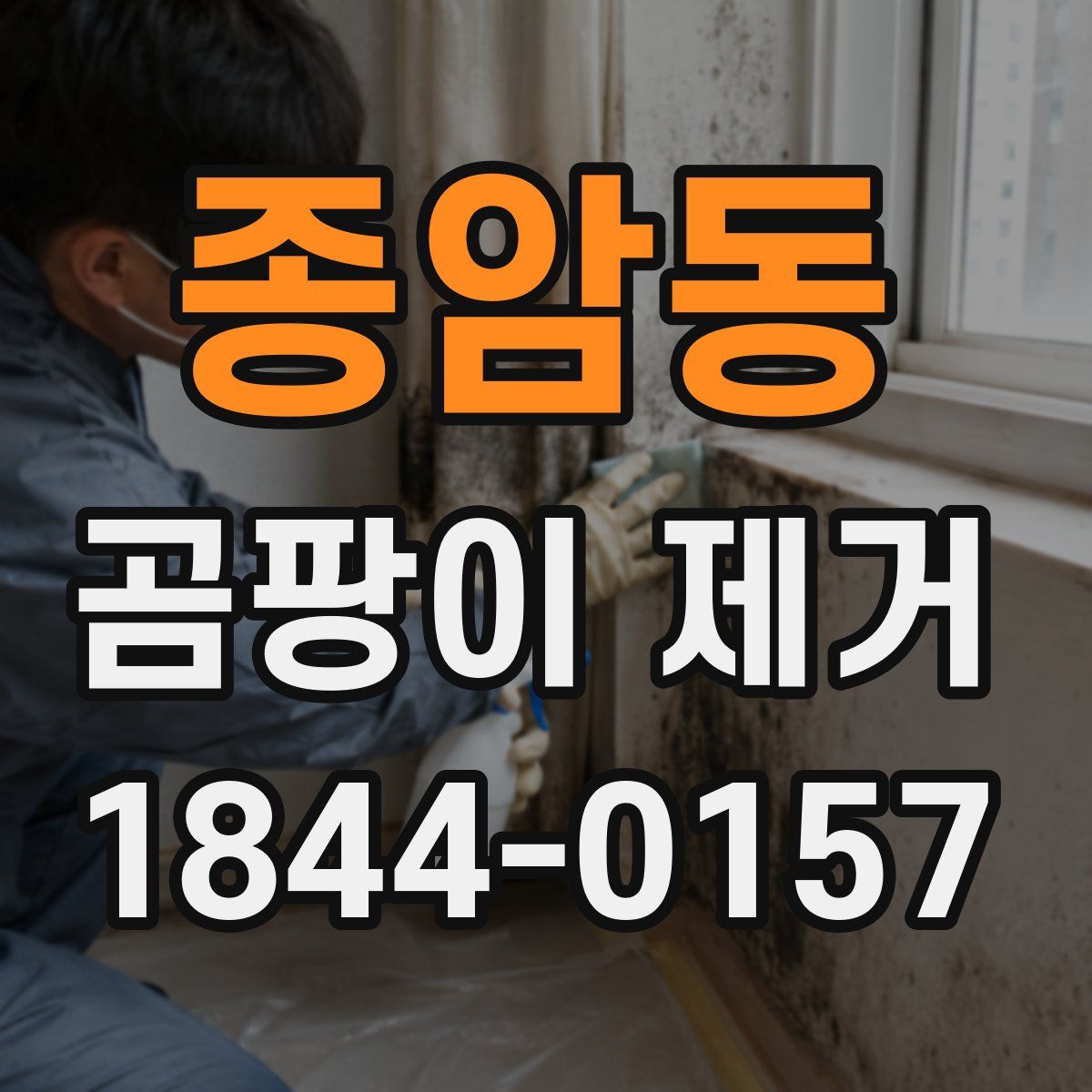 종암동 곰팡이 제거