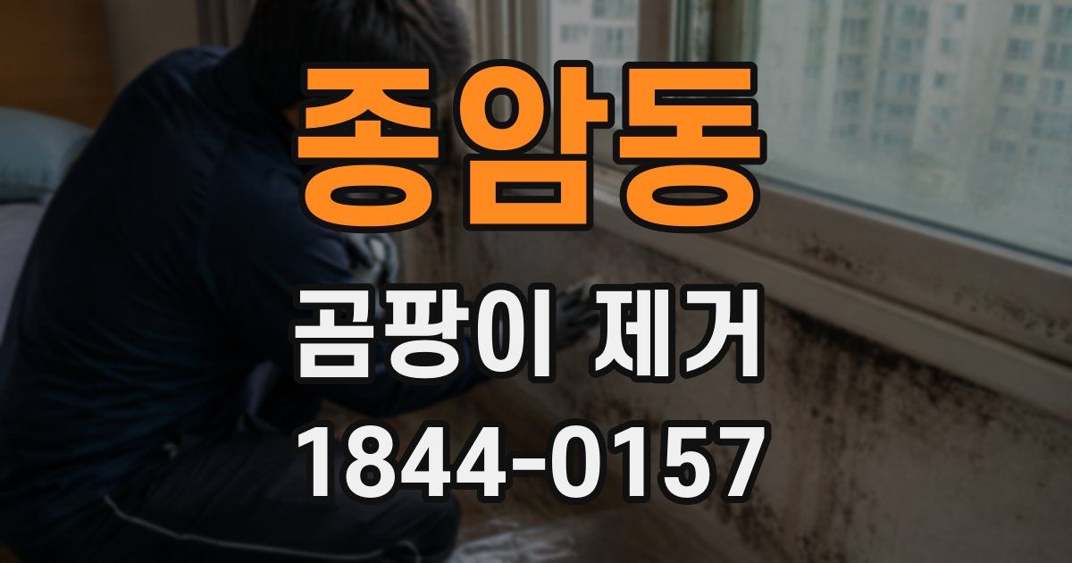 종암동 곰팡이 제거