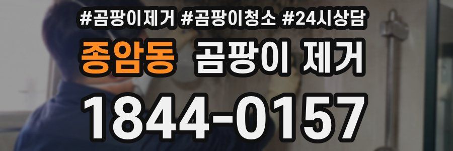 종암동 곰팡이 제거