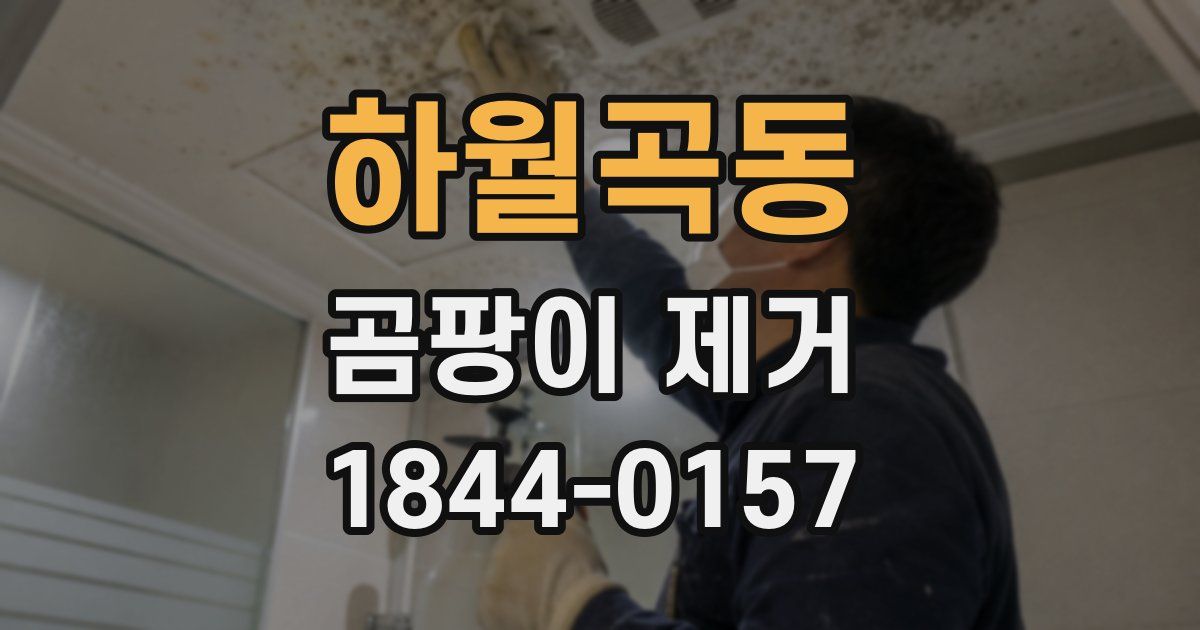 하월곡동 곰팡이 제거