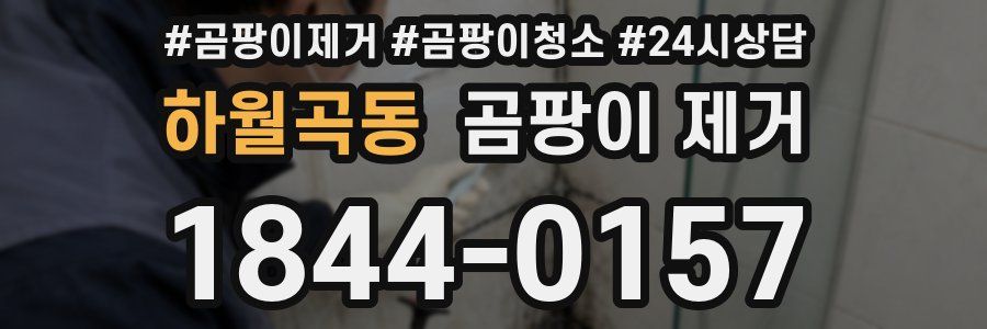하월곡동 곰팡이 제거