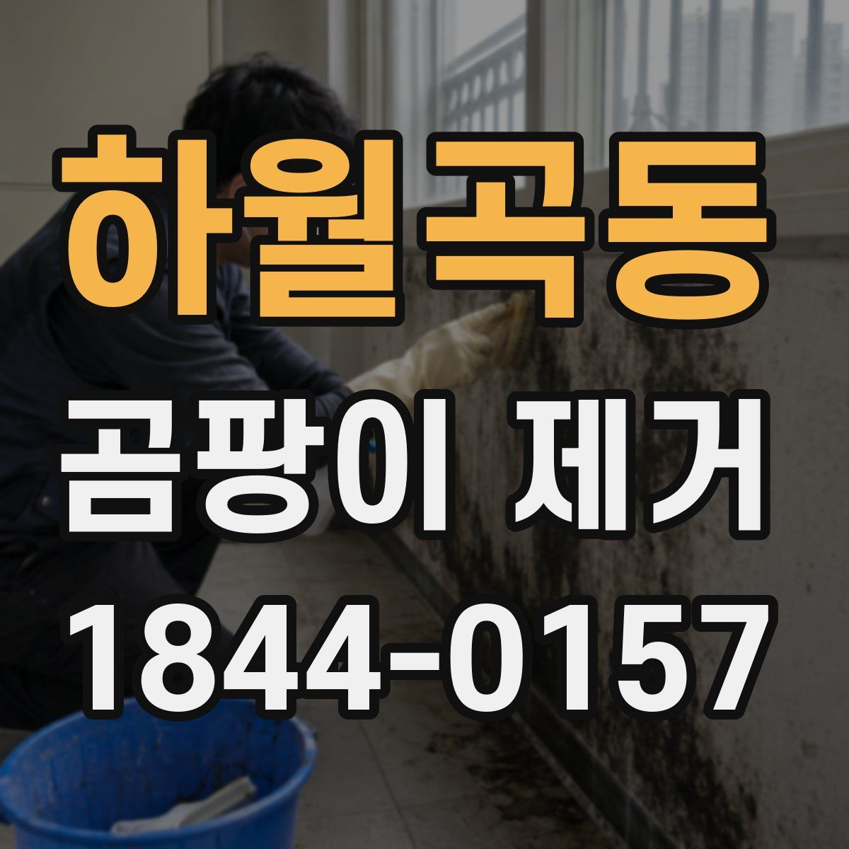 하월곡동 곰팡이 제거