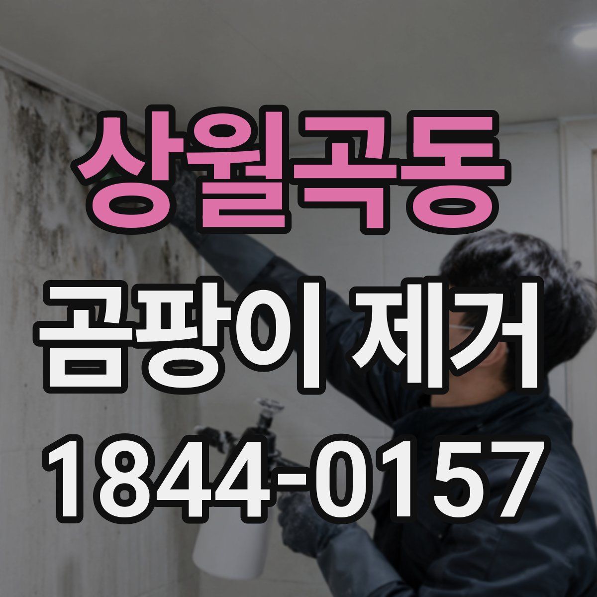 상월곡동 곰팡이 제거