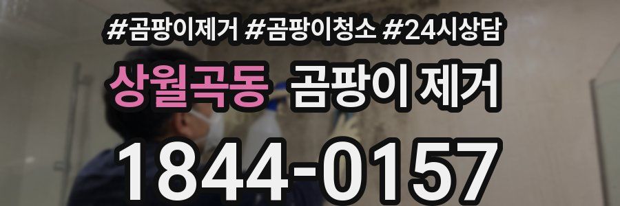 상월곡동 곰팡이 제거