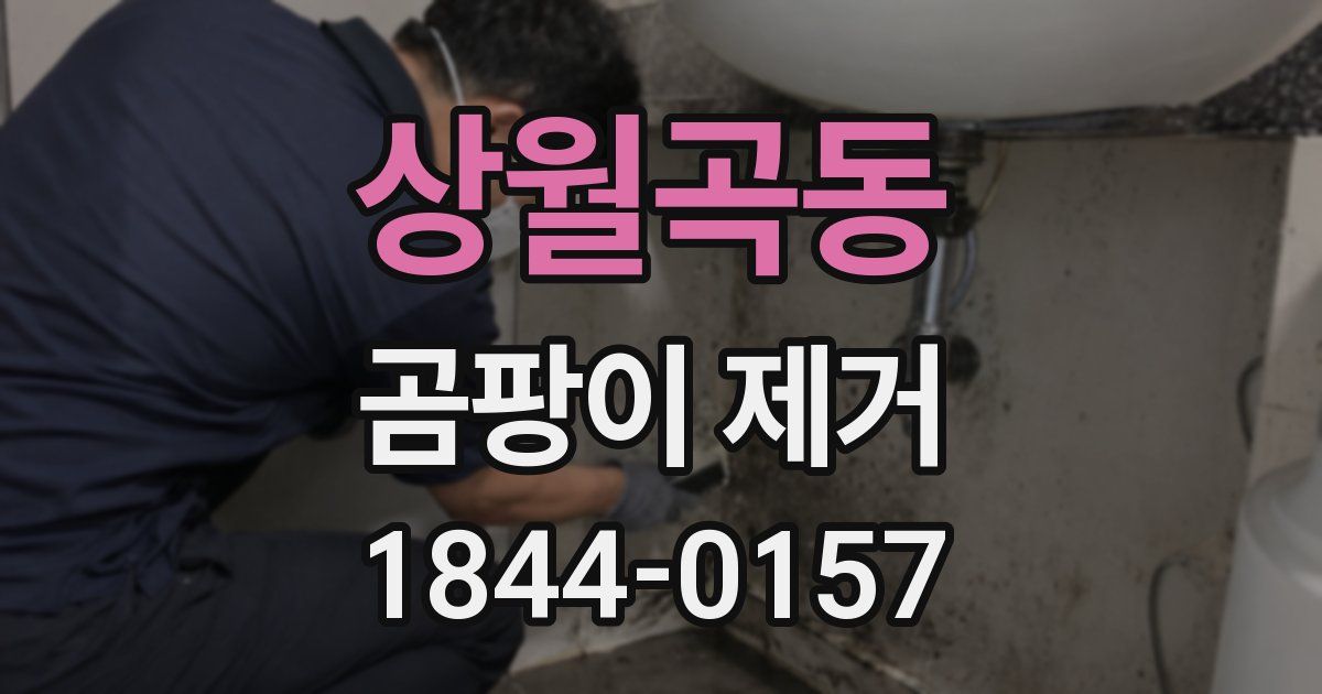 상월곡동 곰팡이 제거