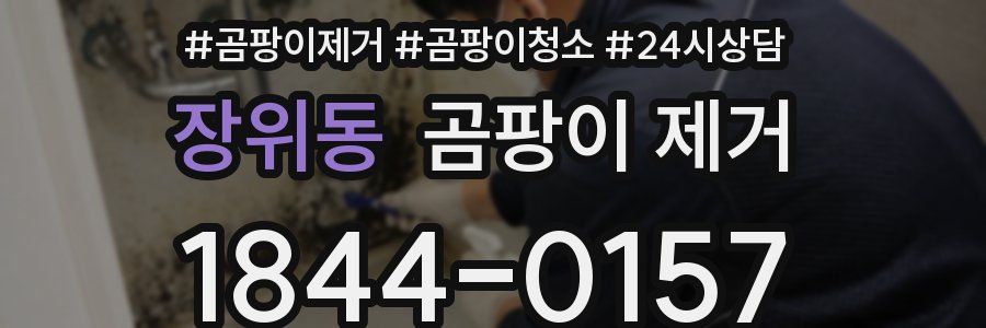 장위동 곰팡이 제거