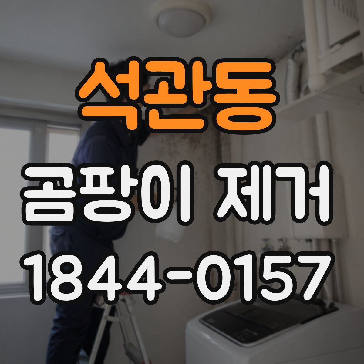석관동 곰팡이 제거