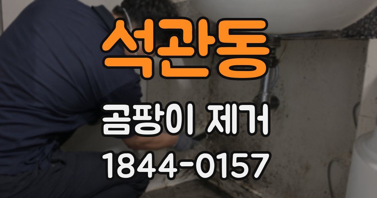 석관동 곰팡이 제거