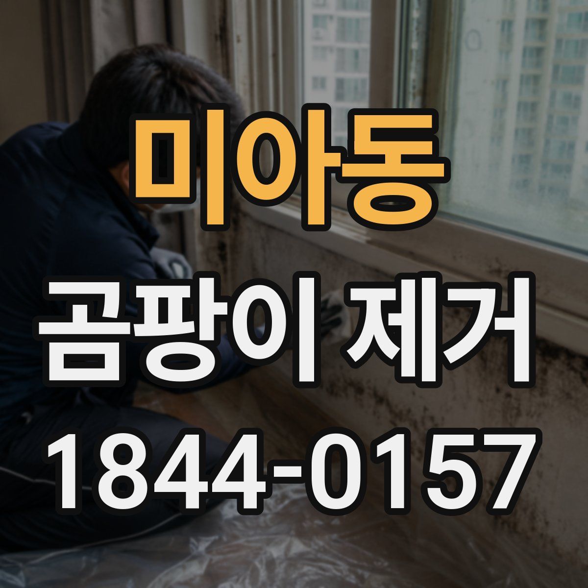 미아동 곰팡이 제거