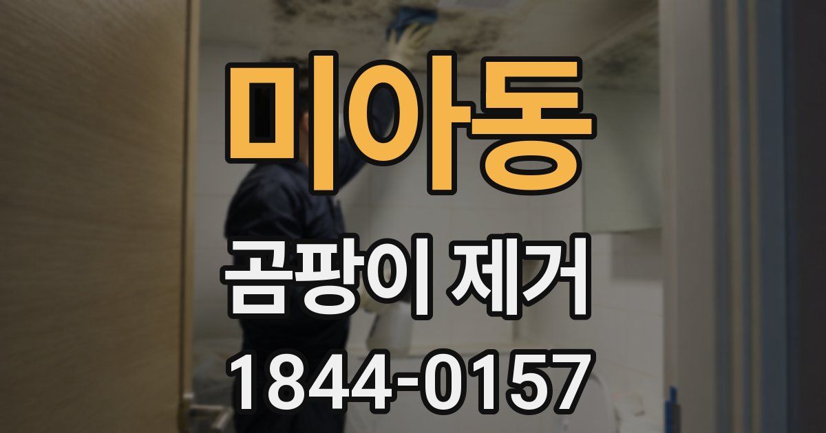 미아동 곰팡이 제거