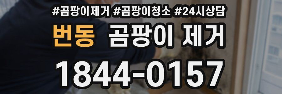번동 곰팡이 제거