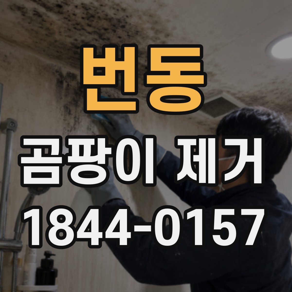번동 곰팡이 제거